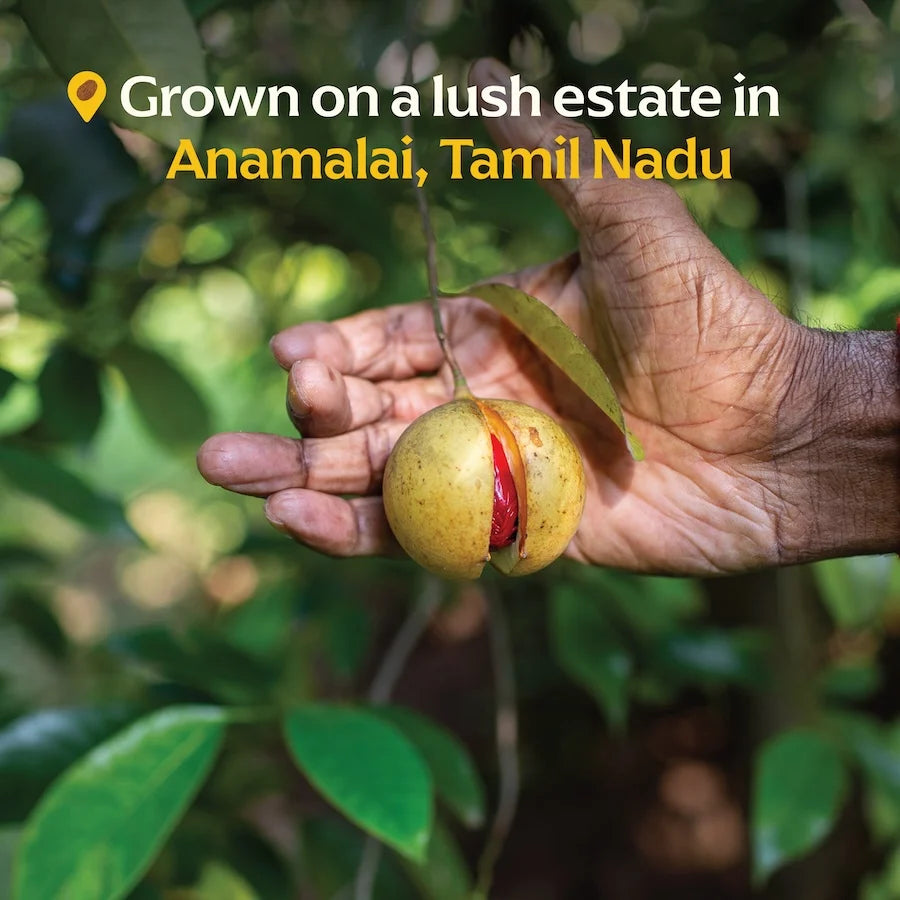Diaspora Co. Anamalai Nutmeg (Single-Origin)