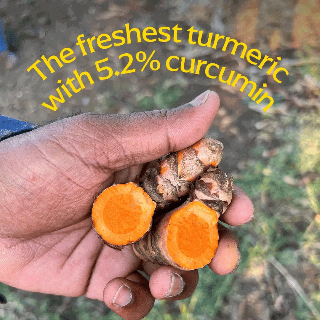 Diaspora Co. Pragati Turmeric Powder (Single-Origin)
